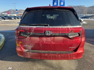2023 Honda Odyssey Sport