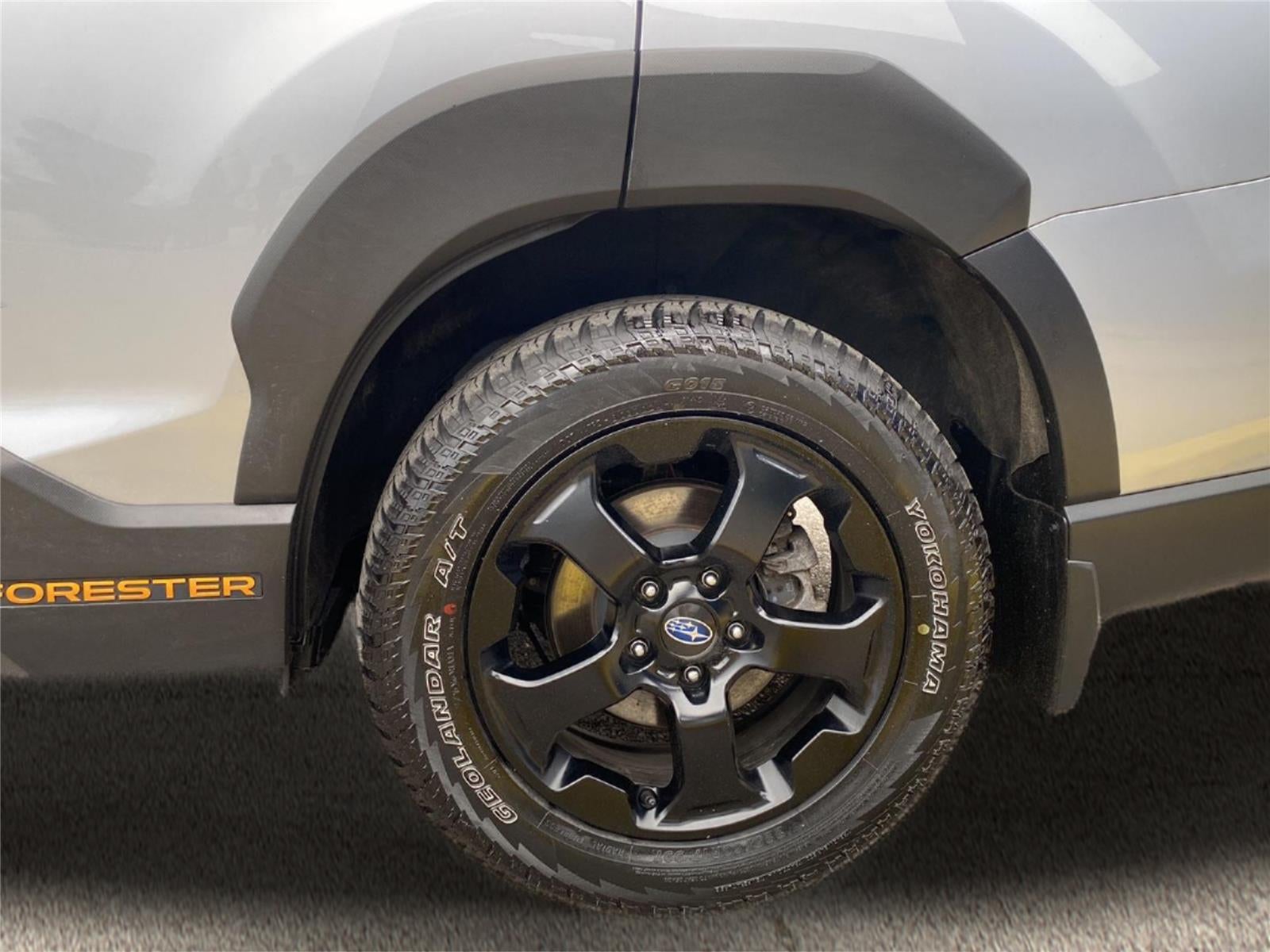 2024 Subaru Forester Wilderness