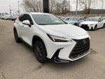 2026 Lexus NX 350 AWD
