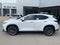 2026 Lexus NX 350 PREMIUM AWD