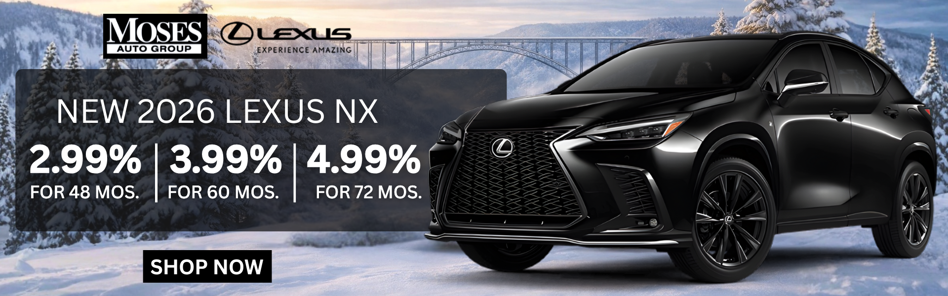 2026 NX January Offer